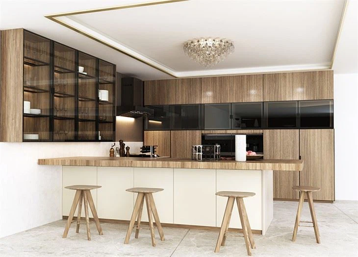 Contemporary Brown Kitchen Cabinet